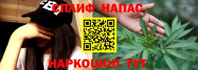 прущие грибы Обнинск
